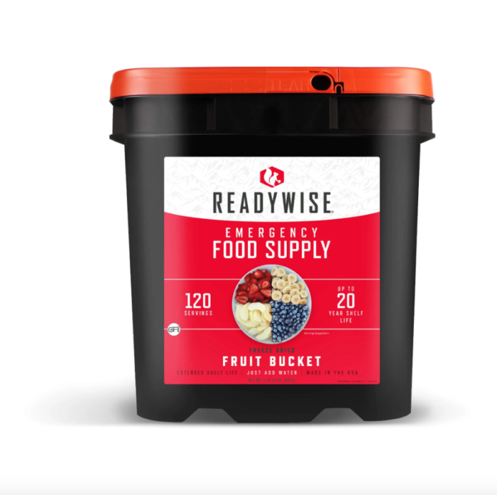 Fruit Mix 120 Serving Emergency Food Bucket by Wise Company